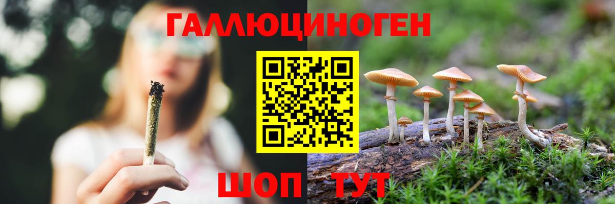 Галлюциногенные грибы прущие грибы Мурманск
